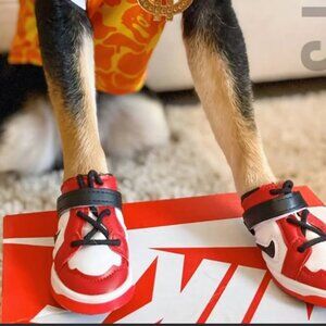 Hype Pup Size 3 Dog Sneakers – Brand New, Never Used
